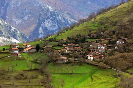 Argoliviu, Amieva