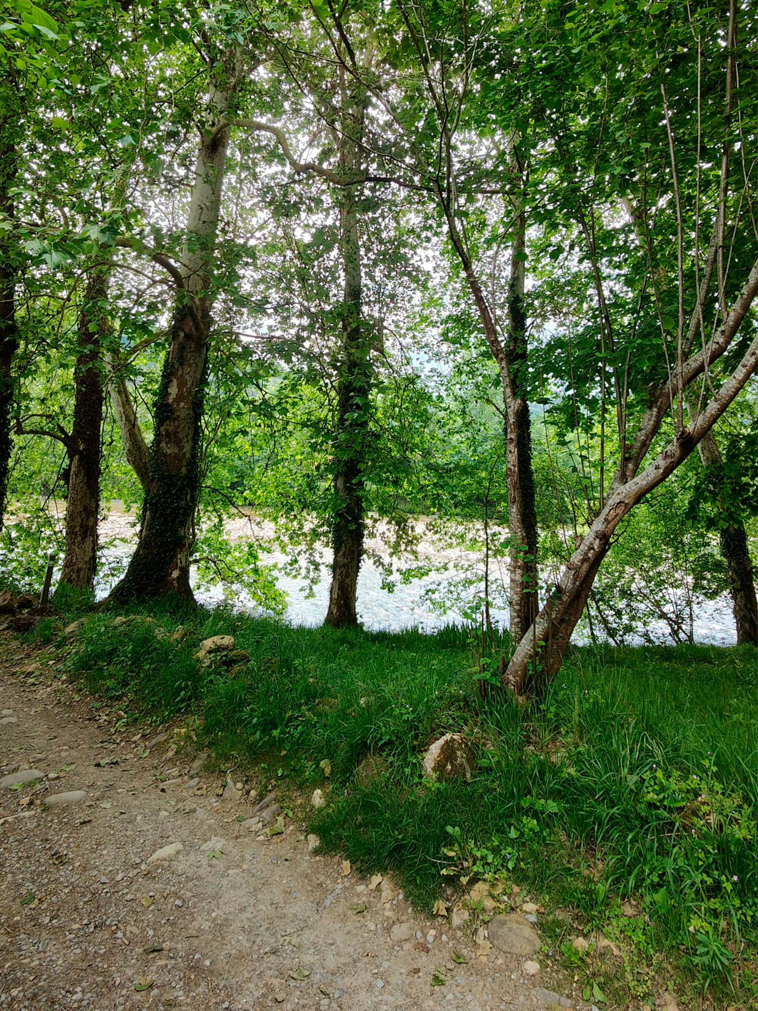Camino junto al río